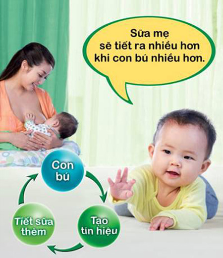 Tìm hiểu về cơ chế tiết sữa mẹ khi cho con bú